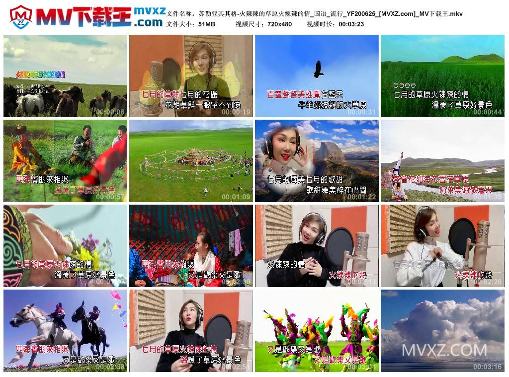 苏勒亚其其格-火辣辣的草原火辣辣的情_国语_流行_YF200625